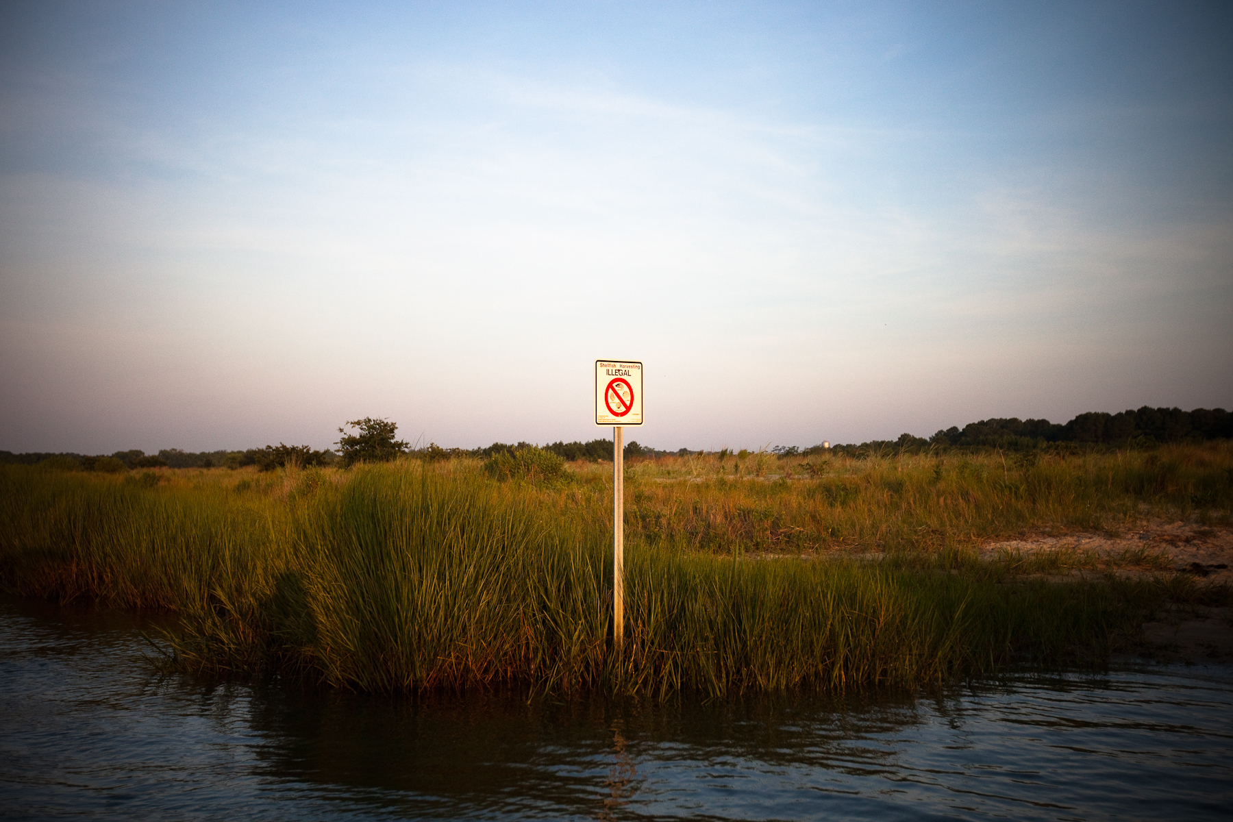 Morgan Heim_Chesapeake Bay-9.jpg