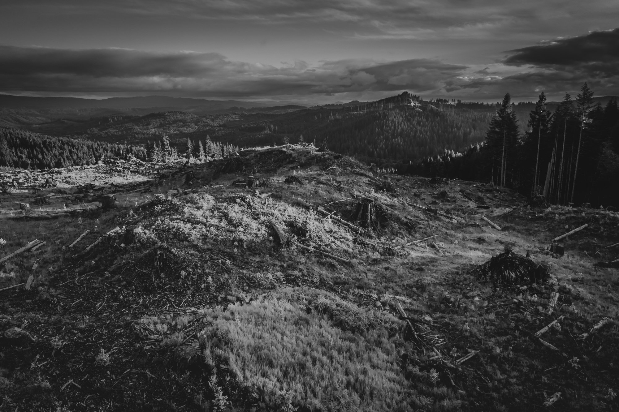 MorganHeim_NSOAUD-0023