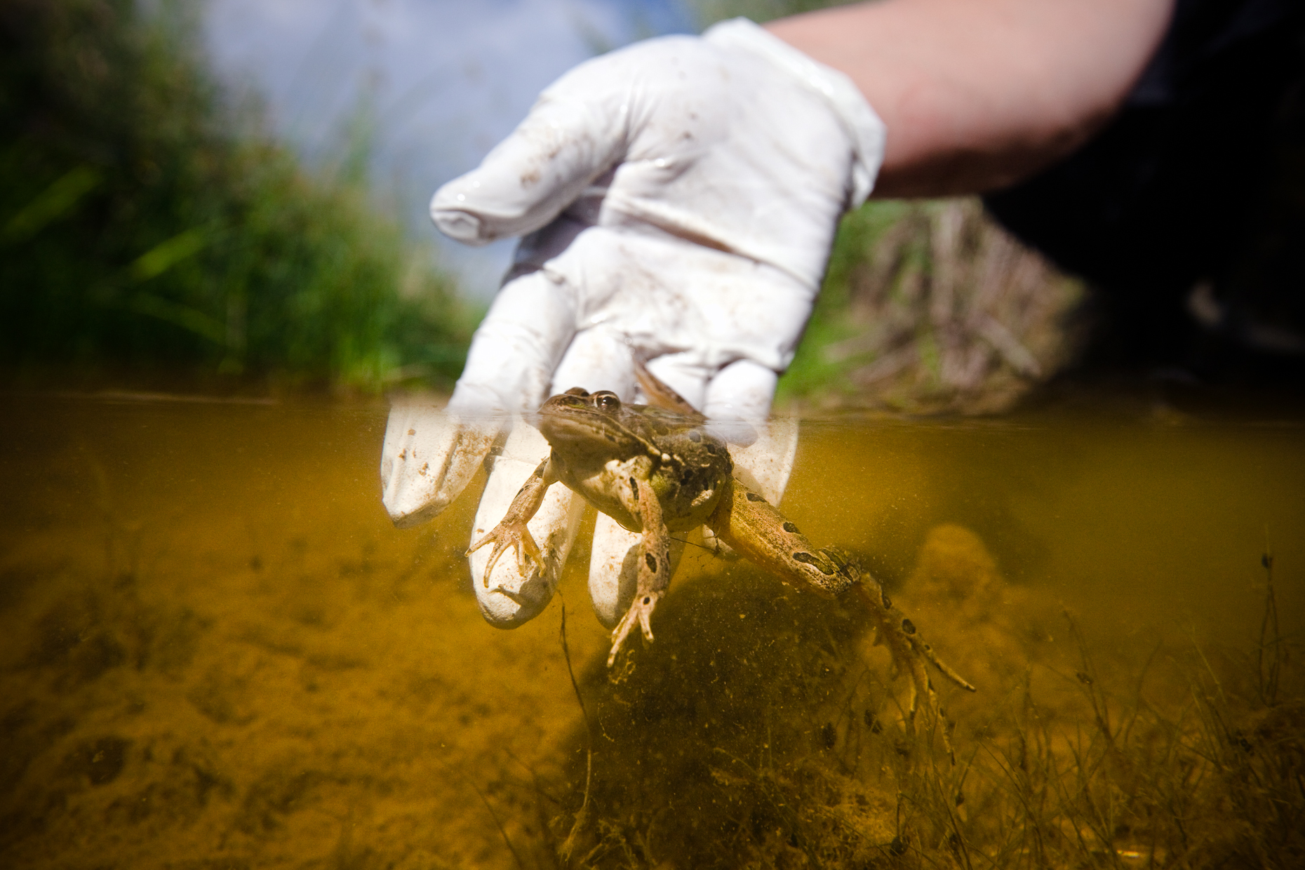 Morgan Heim_OP_ConservationPhotoProjects_25.jpg