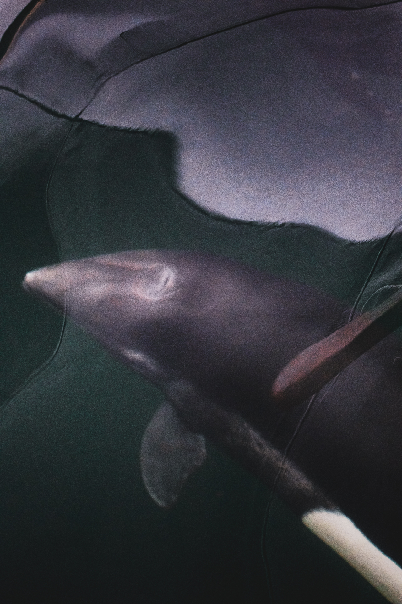 morganheim_haidagwaii-9198