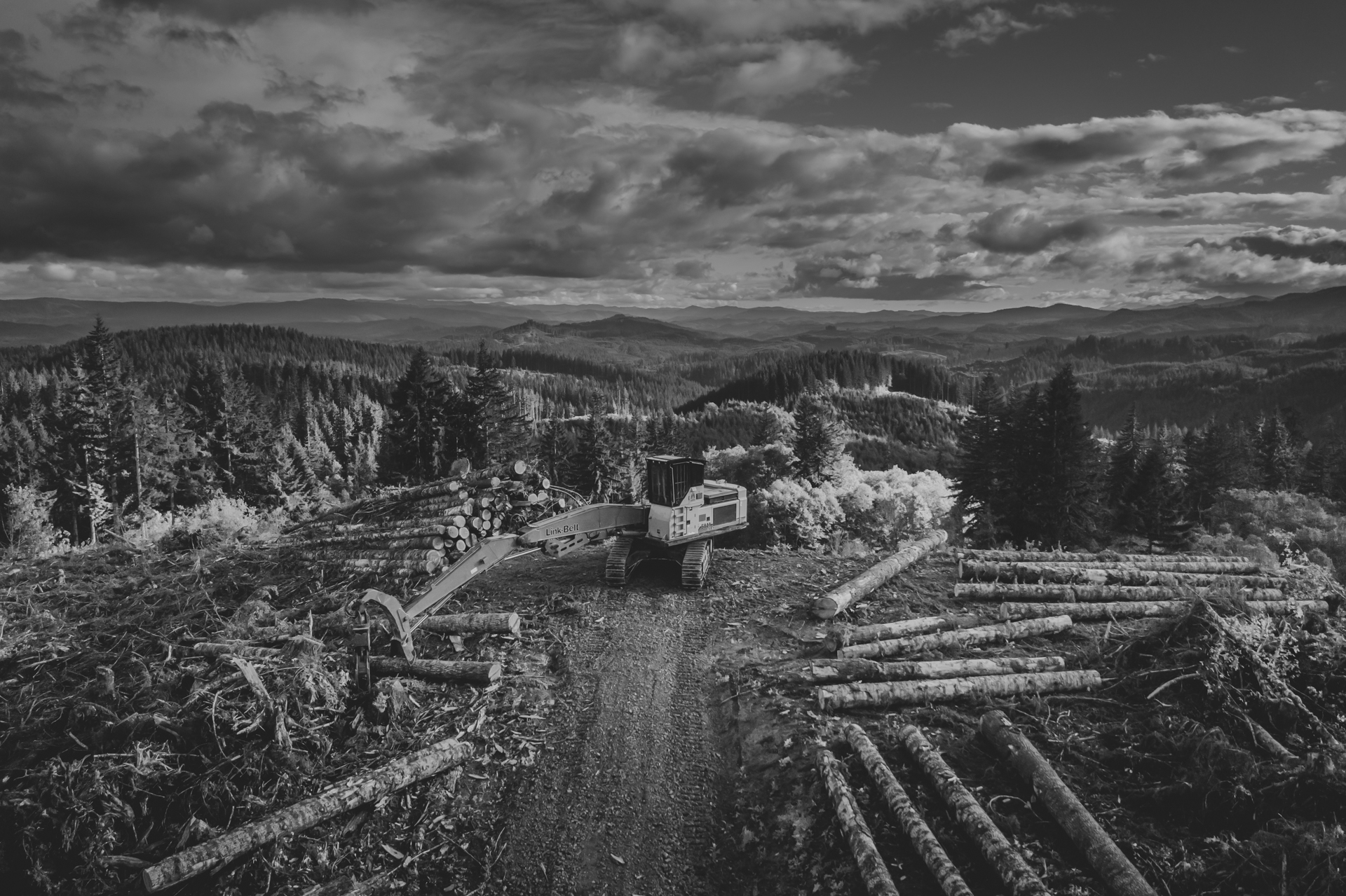 siena_story_spottedowls-0985
