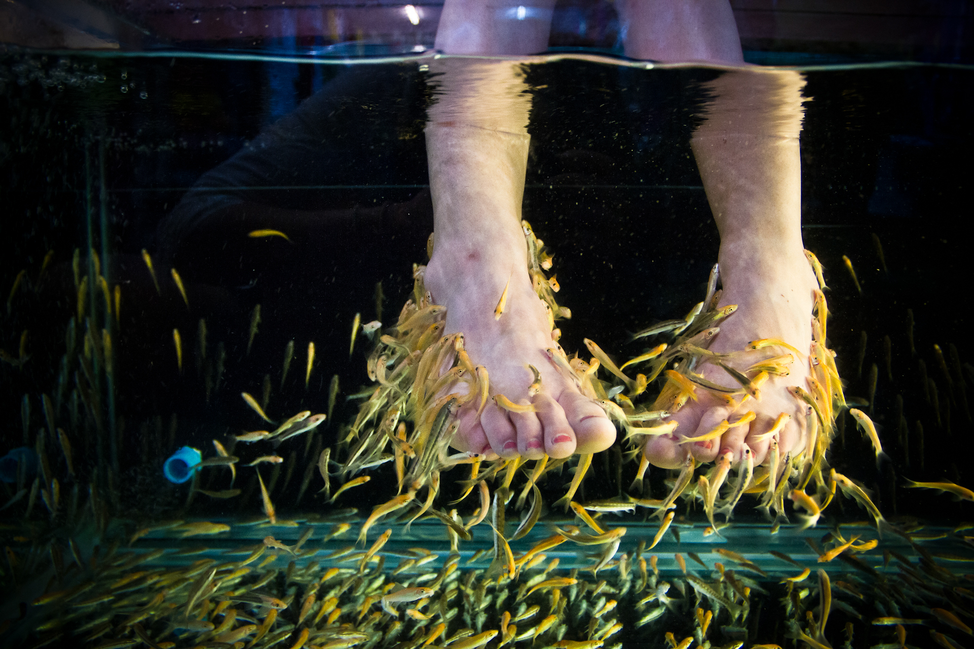world in our hands_fish pedicure-DUP1.jpg